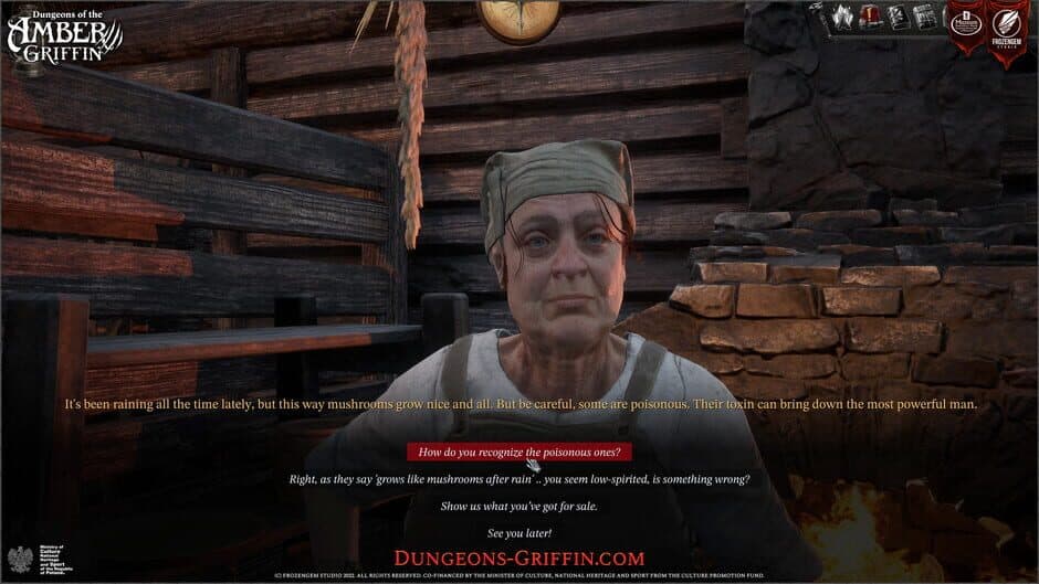 Скриншот 4 из Dungeons of the Amber Griffin