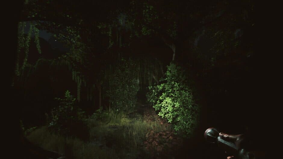 Скриншот 5 из Forlorn: The mysteries of Highshadowland