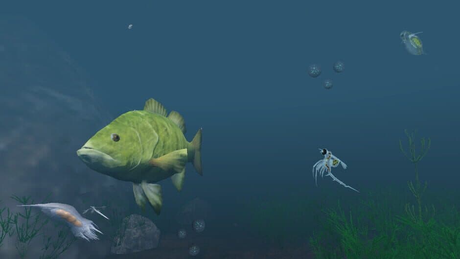 Скриншот 11 из The Aquatic Messenger
