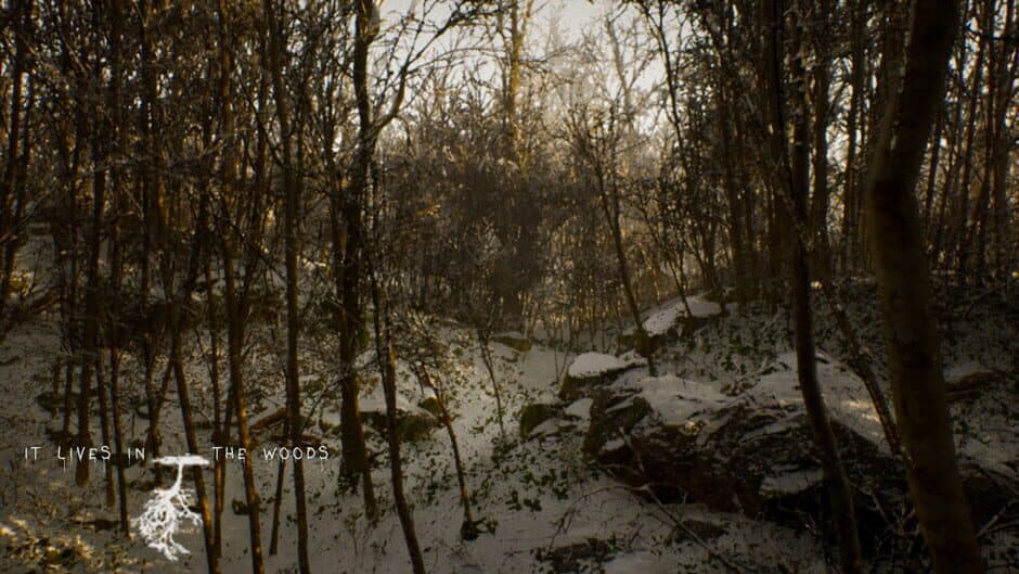Скриншот 4 из It Lives in the Woods