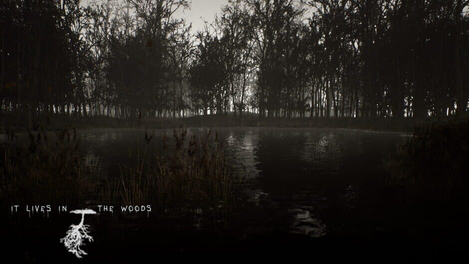 Скриншот 2 из It Lives in the Woods