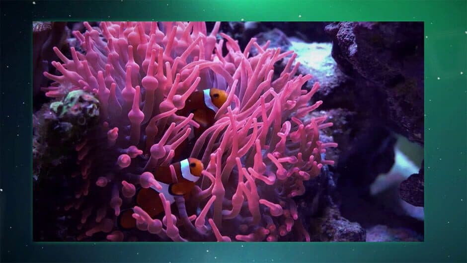 Скриншот 4 из Puzzle Galaxy: Animal Album