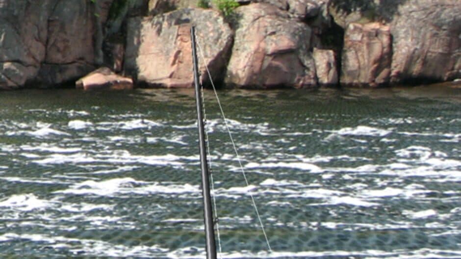 Скриншот 3 из i Fishing HD