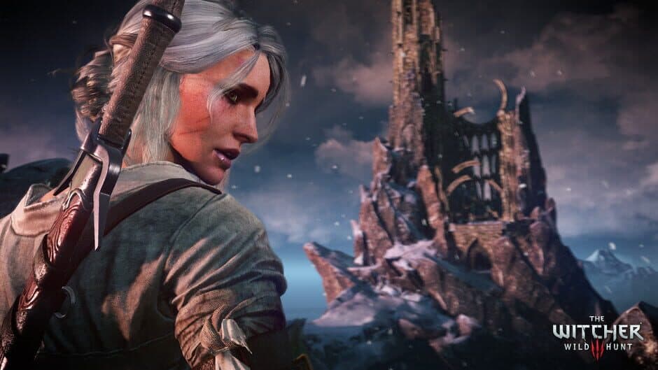 Скриншот 8 из The Witcher 3: Wild Hunt