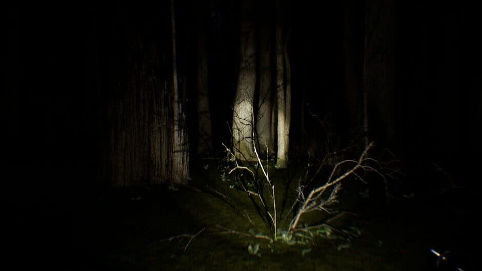 Скриншот 1 из Search 4 Bigfoot