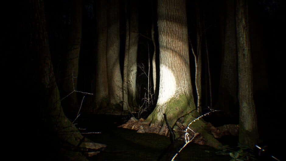 Скриншот 3 из Search 4 Bigfoot