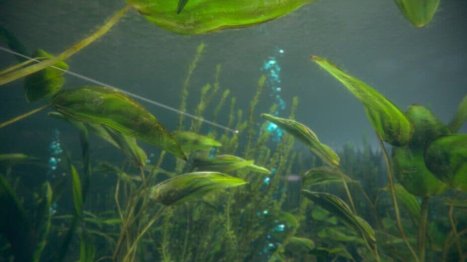 Скриншот 6 из Ultimate Fishing Simulator 2