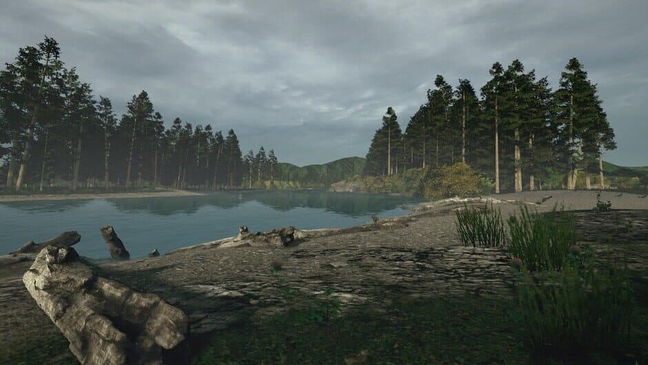 Скриншот 7 из Ultimate Fishing Simulator: Taupo Lake