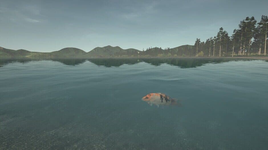 Скриншот 12 из Ultimate Fishing Simulator: Taupo Lake