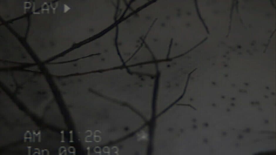 Скриншот 12 из Backrooms VHS