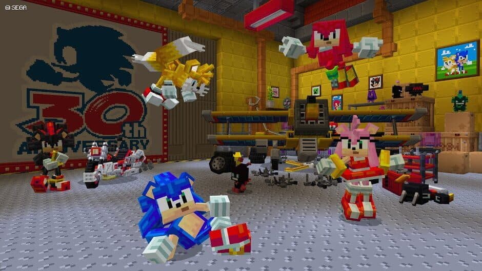 Скриншот 5 из Minecraft: Sonic the Hedgehog