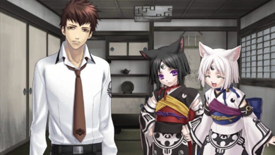 Скриншот 1 из Shin Hisui no Shizuku: Hiiro no Kakera 2 Portable