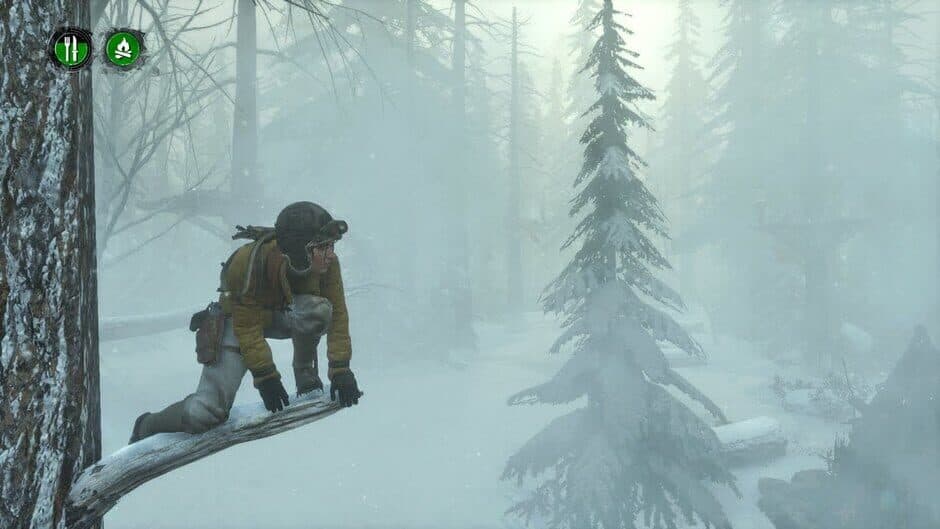 Скриншот 1 из Rise of the Tomb Raider: Endurance Mode