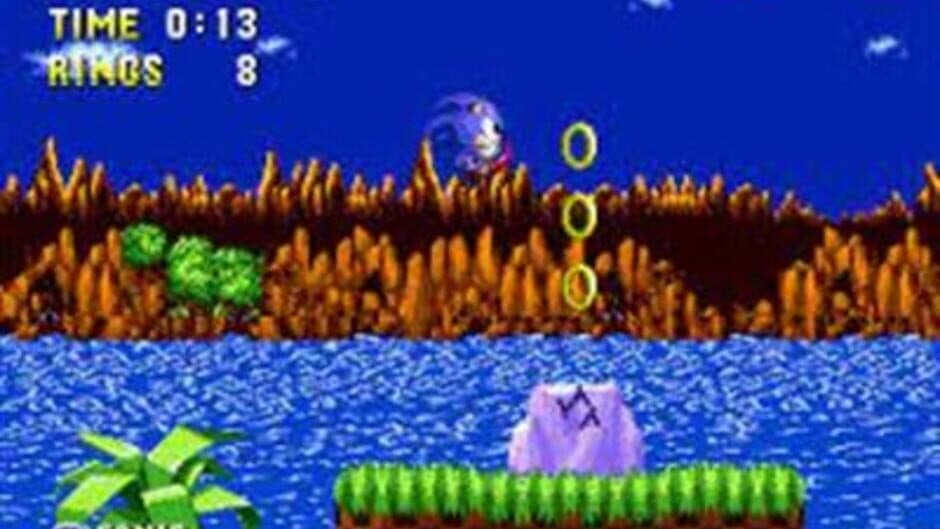 Скриншот 1 из Sonic 1: South Island Expedition