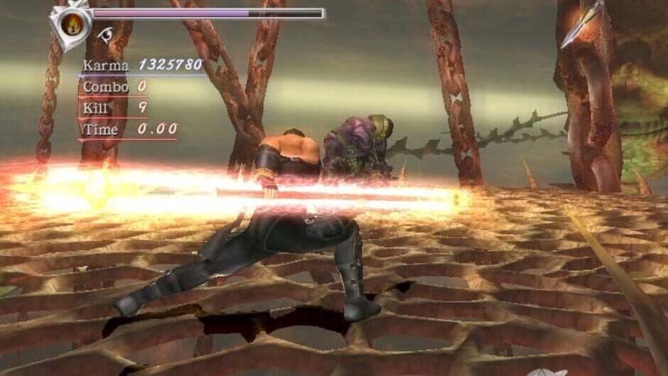 Скриншот 3 из Ninja Gaiden Hurricane Pack II