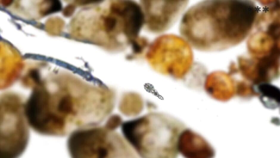 Скриншот 8 из Microscopic