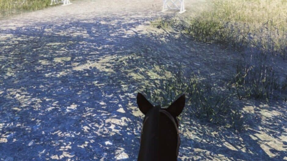 Скриншот 4 из Real Horse 3D