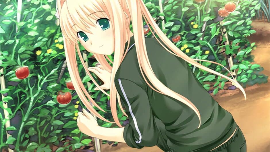 Скриншот 2 из Kono Aozora ni Yakusoku wo