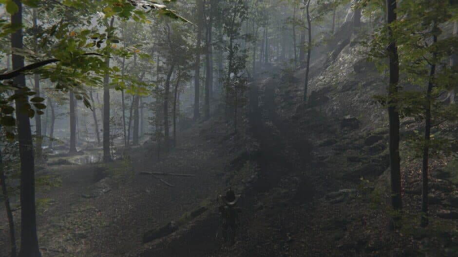 Скриншот 8 из Deranged Park Rangers