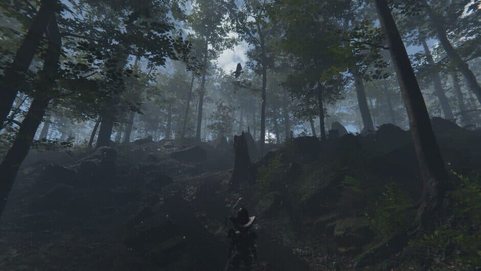 Скриншот 11 из Deranged Park Rangers