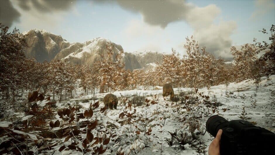 Скриншот 10 из Photography Simulator