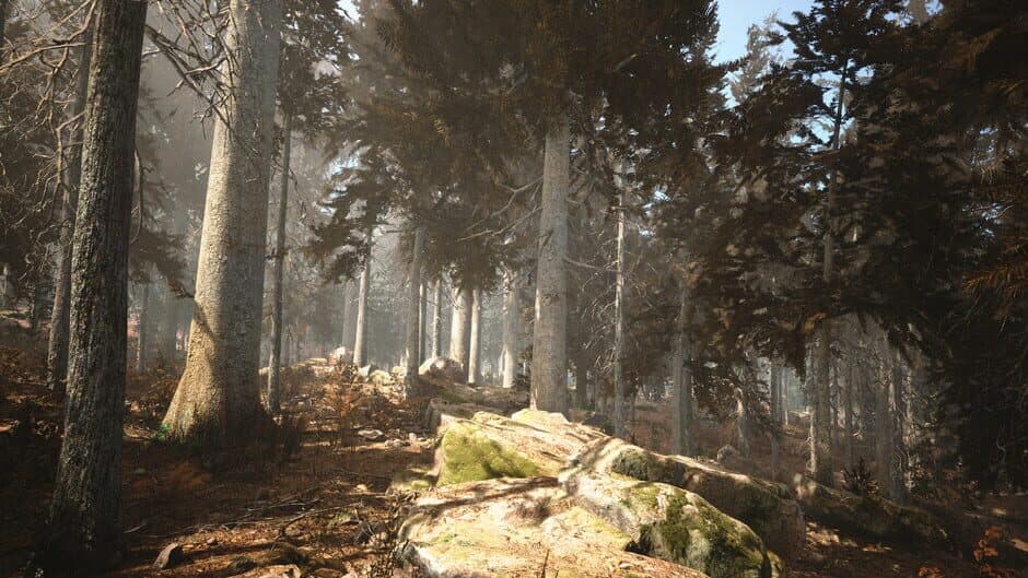 Скриншот 11 из Photography Simulator