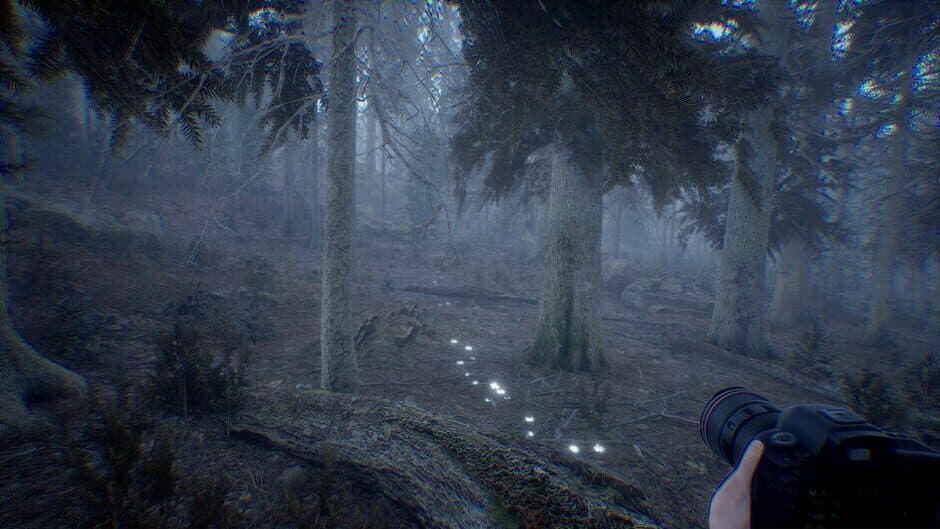 Скриншот 2 из Photography Simulator
