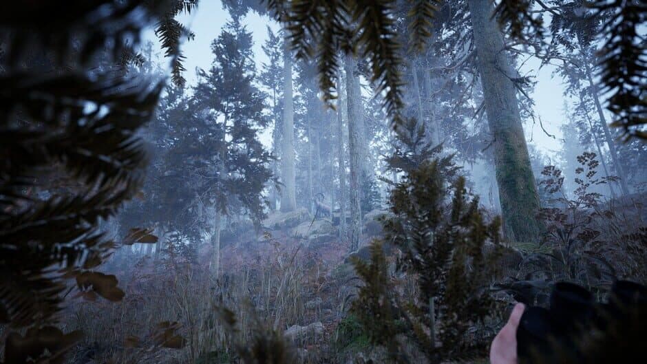 Скриншот 4 из Photography Simulator
