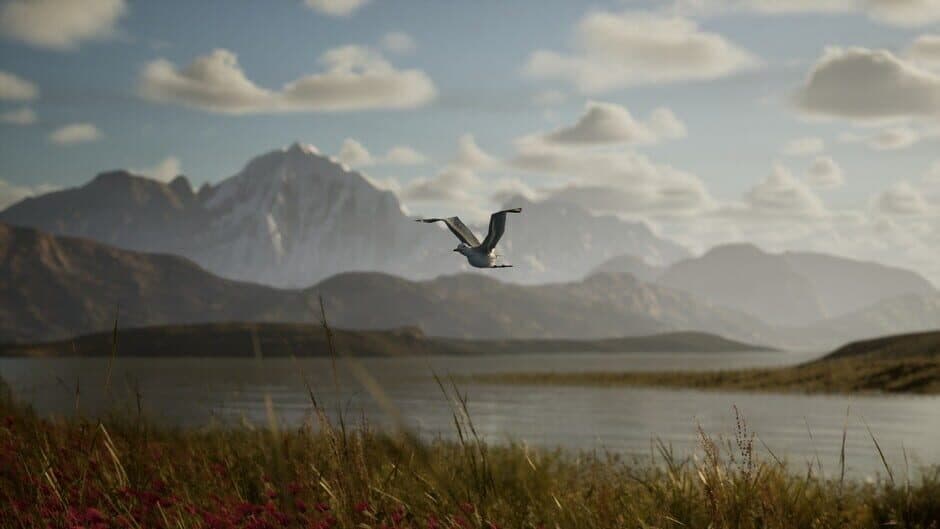 Скриншот 12 из Photography Simulator
