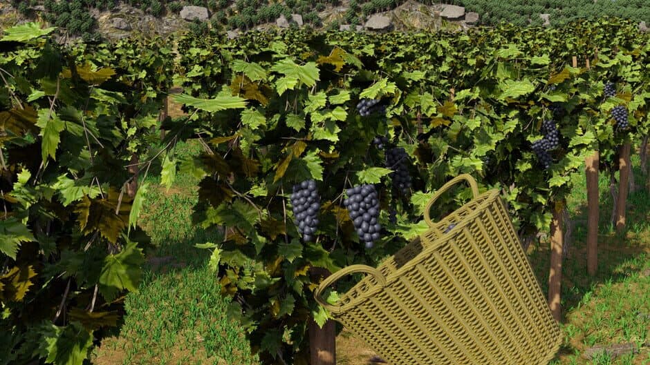 Скриншот 7 из Winery Simulator