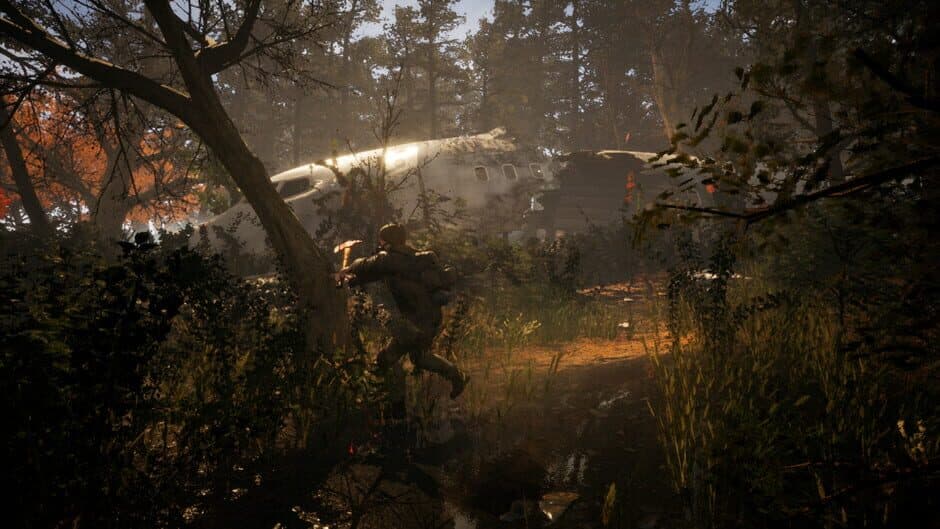 Скриншот 3 из Survive the Fall
