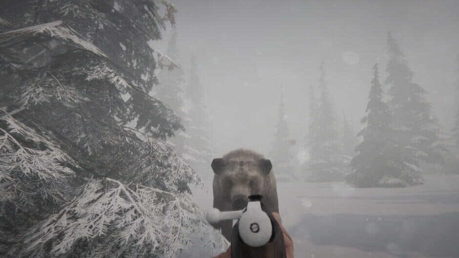 Скриншот 1 из Mystery Trails