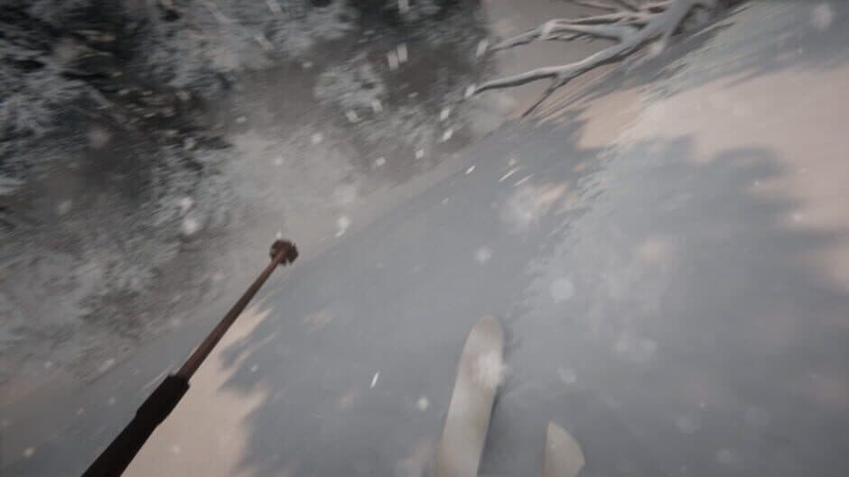 Скриншот 4 из Mystery Trails