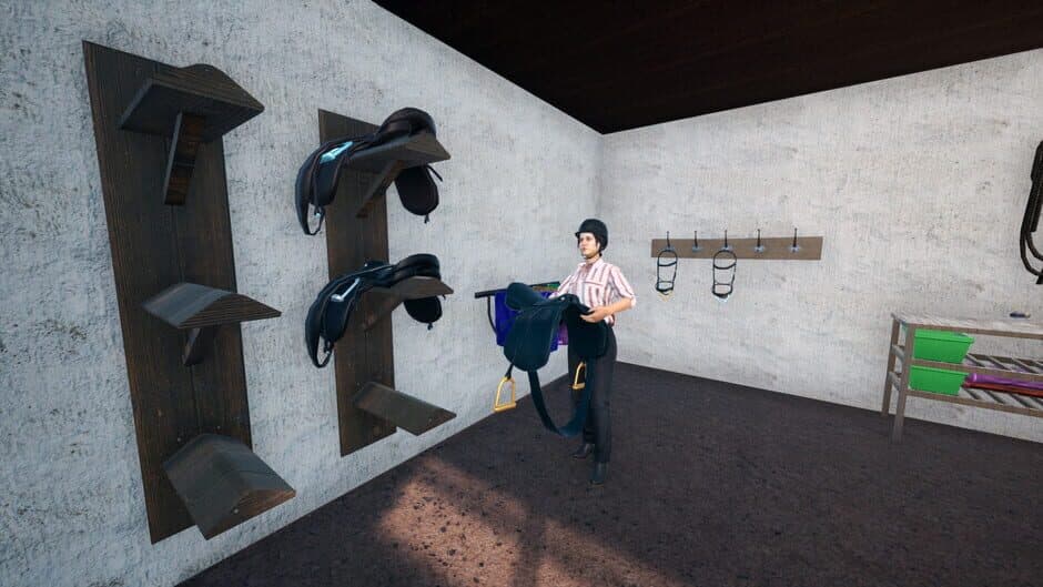 Скриншот 4 из Unbridled: That Horse Game