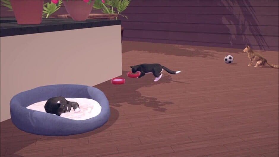 Скриншот 4 из Cat Cafe Simulator