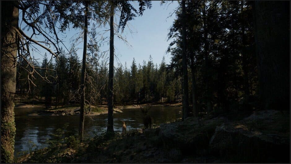 Скриншот 1 из Evergreen: Mountain Life Simulator