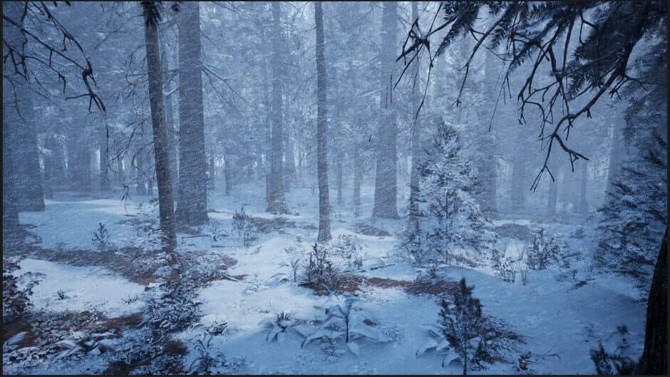 Скриншот 3 из Evergreen: Mountain Life Simulator