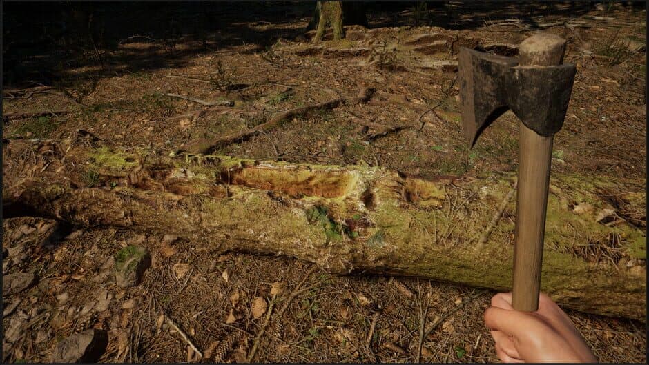 Скриншот 4 из Evergreen: Mountain Life Simulator