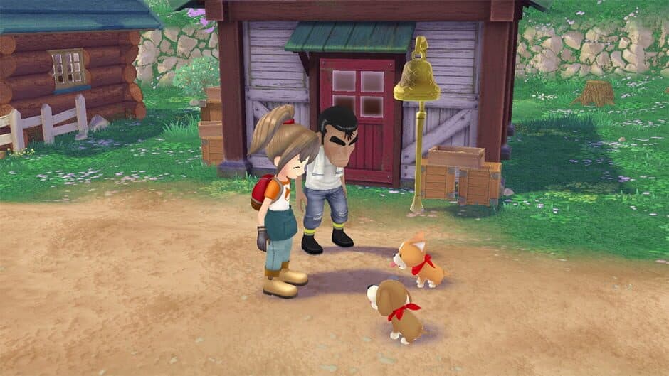 Скриншот 5 из Story of Seasons: A Wonderful Life
