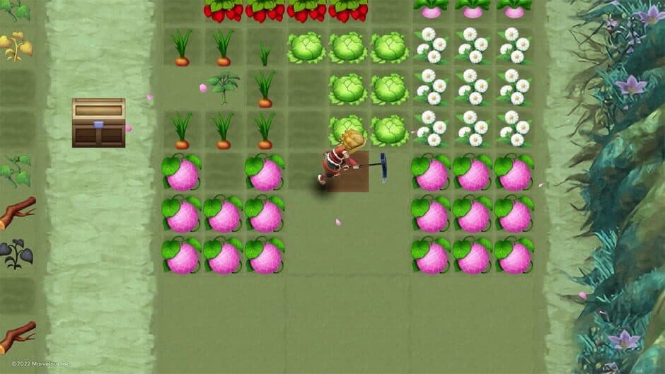 Скриншот 2 из Rune Factory 3 Special
