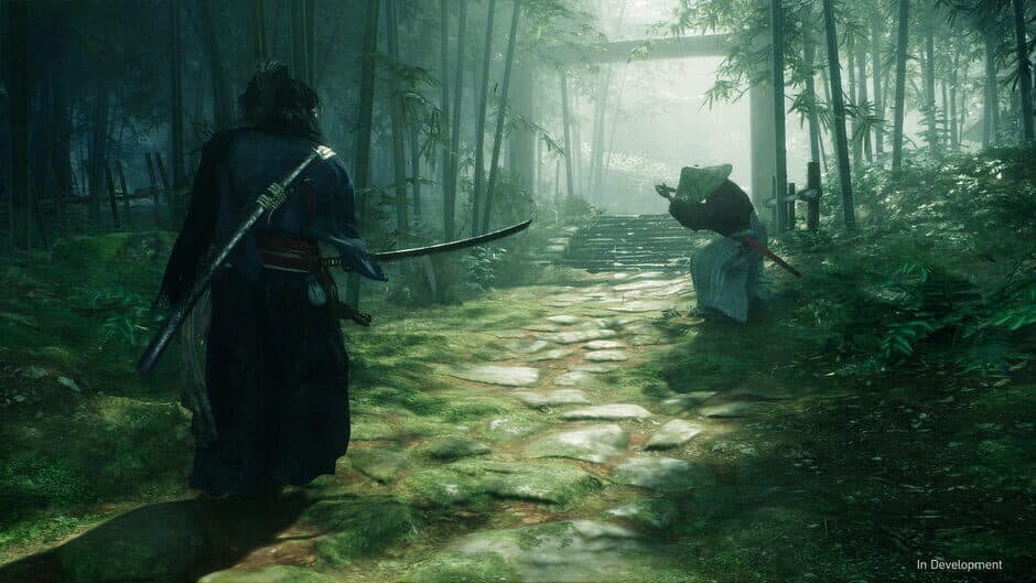 Скриншот 2 из Rise of the Ronin