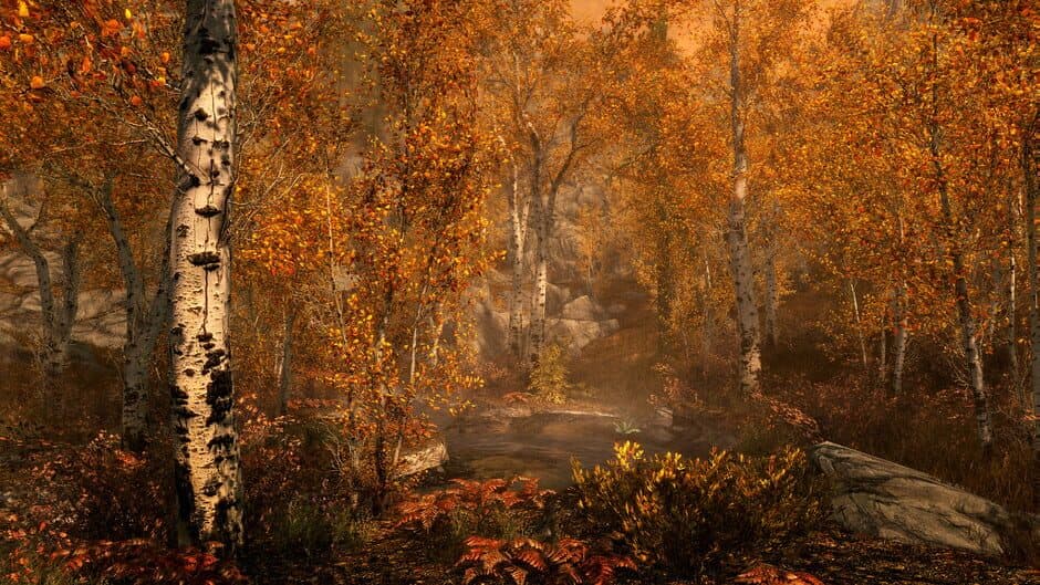 Скриншот 8 из The Elder Scrolls V: Skyrim - Anniversary Edition
