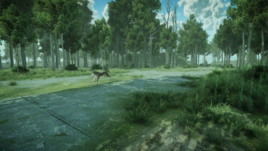 Скриншот 5 из Forest Spring