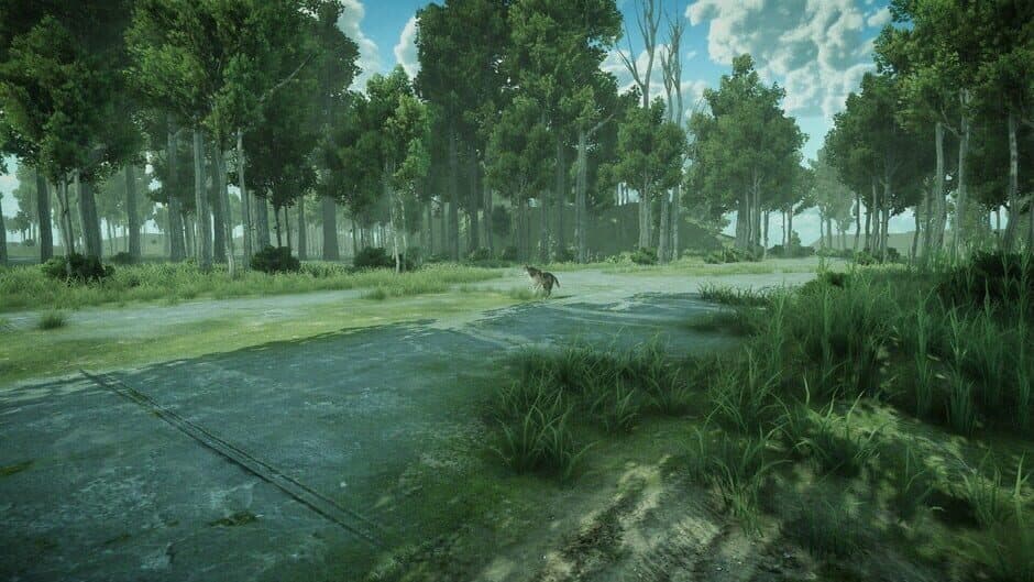 Скриншот 6 из Forest Spring
