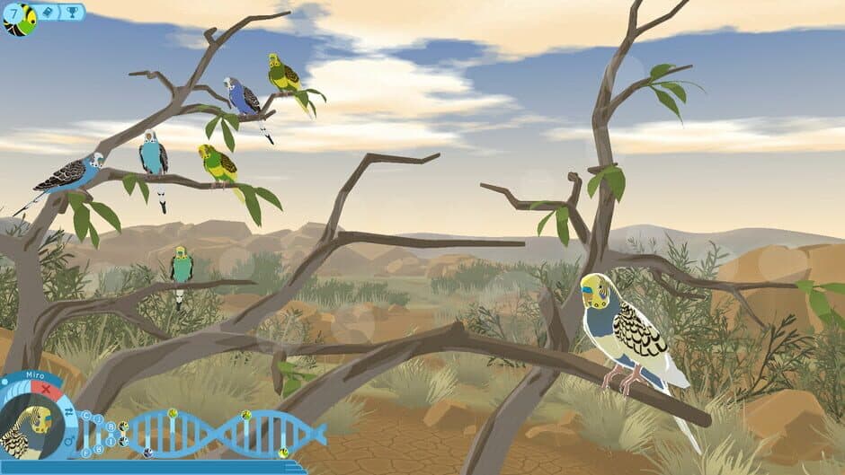 Скриншот 1 из Budgie Genetics Simulator