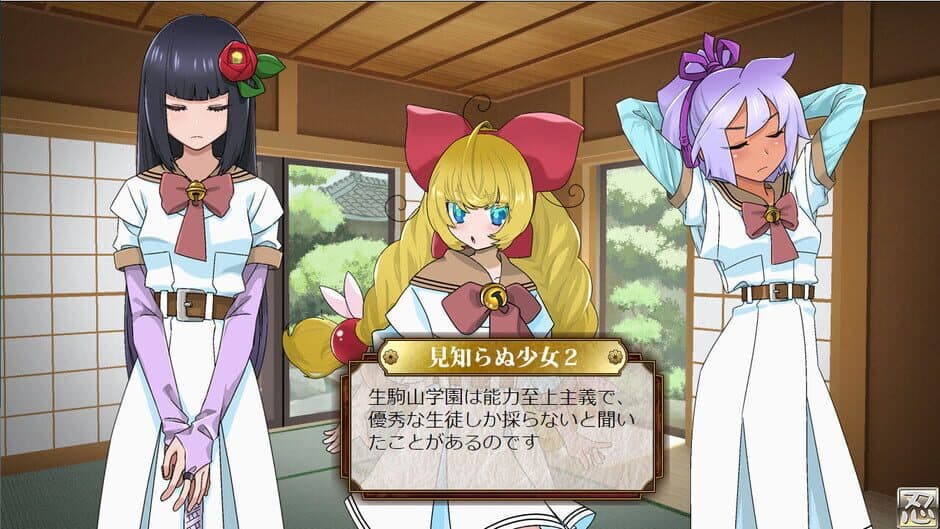 Скриншот 3 из Pretty Ninja Himekage