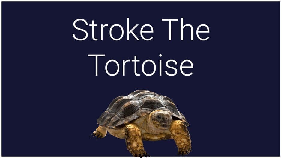 Скриншот 1 из Stroke the Tortoise