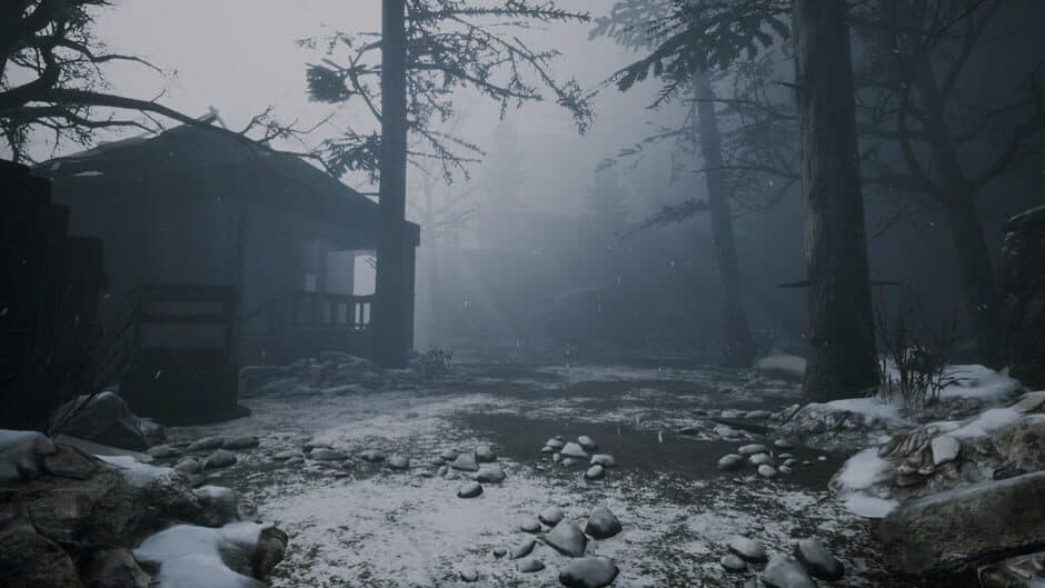 Скриншот 9 из Moonlight: Among Darkness