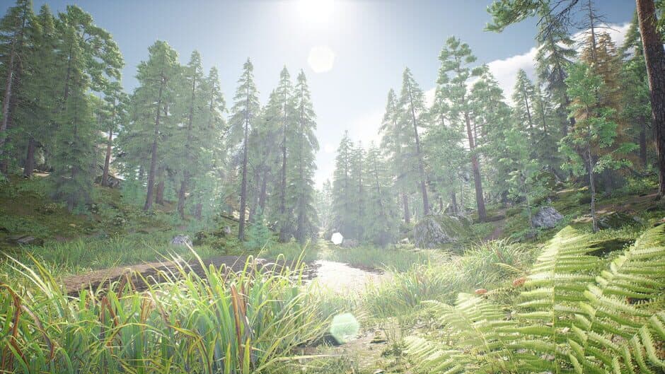 Скриншот 2 из Out of the Woods