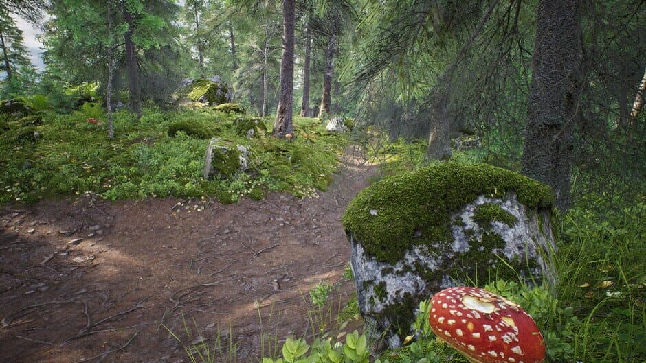 Скриншот 3 из Out of the Woods